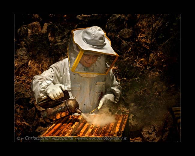 The Beekeeper